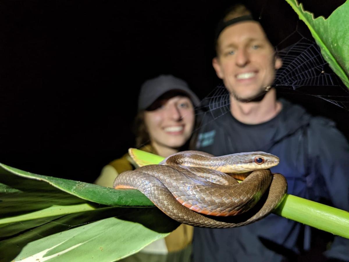 Casa Chilamates 2.0 Tortuguero Eksteriør bilde