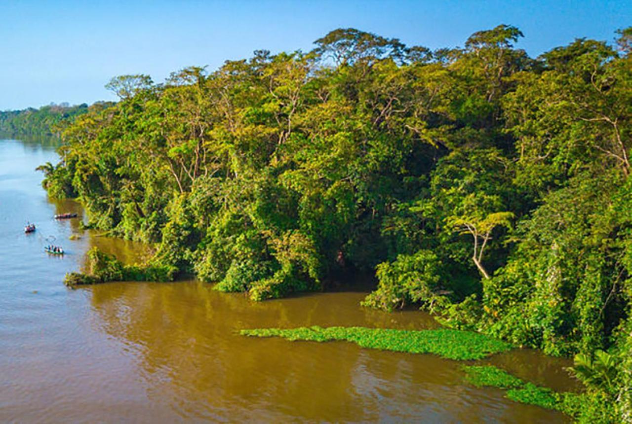 Casa Chilamates 2.0 Tortuguero Eksteriør bilde